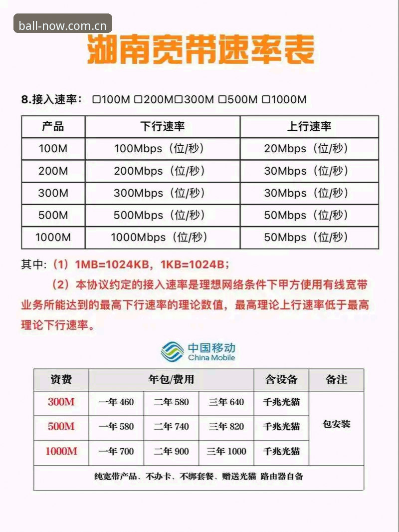 网络入口速率对比实测：2025年版本迭代与访问路径选择